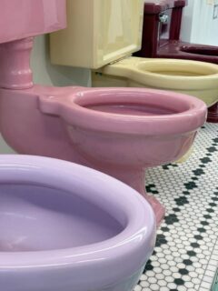 .com 🚽