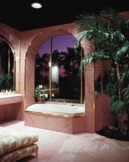 I would thrive here.
